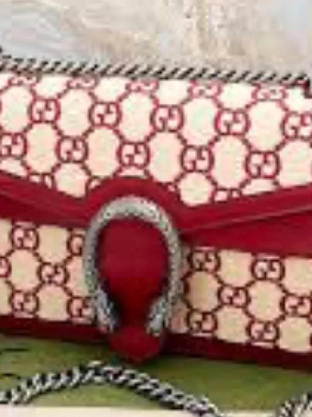 Gucci bag